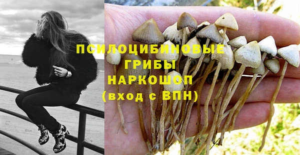 a pvp Карпинск