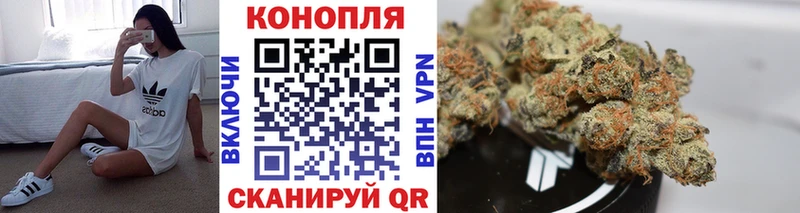 Конопля гибрид  Купить закладки  Курлово 